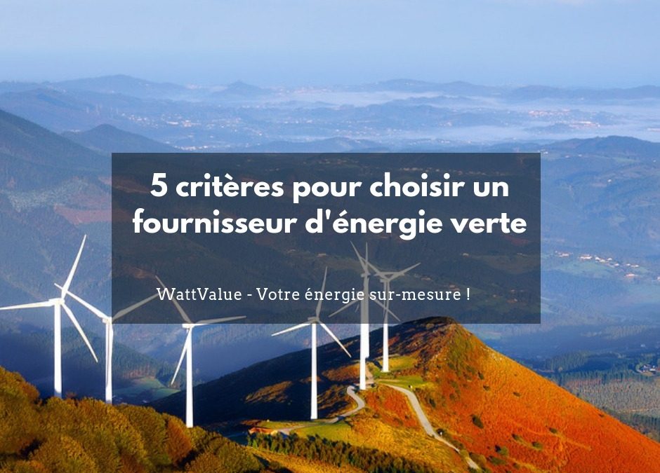 5 critères pour choisir un fournisseur d’énergie verte