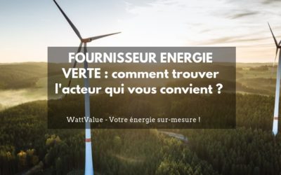 FOURNISSEUR ÉNERGIE VERTE : comment trouver l’acteur qui vous convient ?