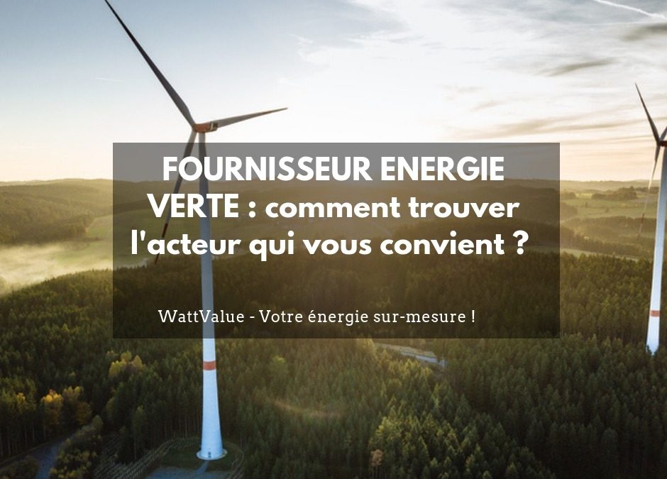 FOURNISSEUR ÉNERGIE VERTE : comment trouver l’acteur qui vous convient ?