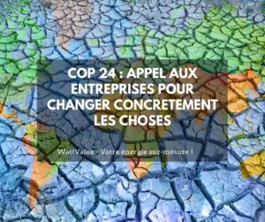 COP 24 : appel aux entreprises pour changer concrètement les choses