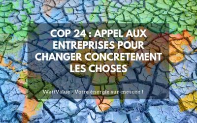 COP 24 : appel aux entreprises pour changer concrètement les choses