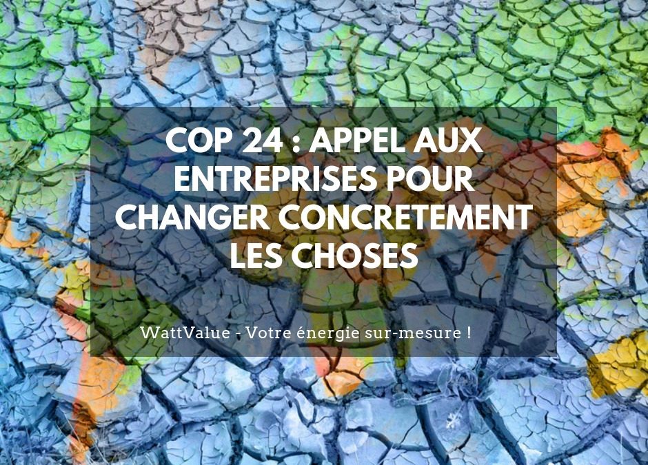 COP 24 : appel aux entreprises pour changer concrètement les choses