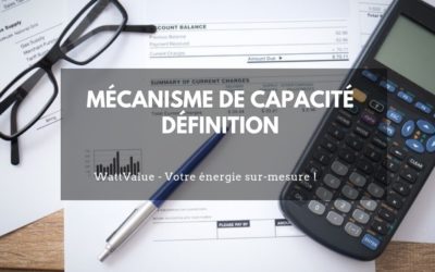 Mécanisme de capacité définition