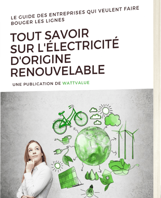 Cover3D-guide-tout-savoir-sur-lenergie-renouvelable-878×1024