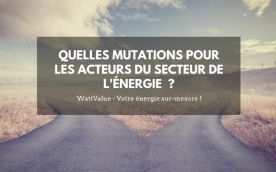 Quelles mutations pour les acteurs du secteur de l’énergie