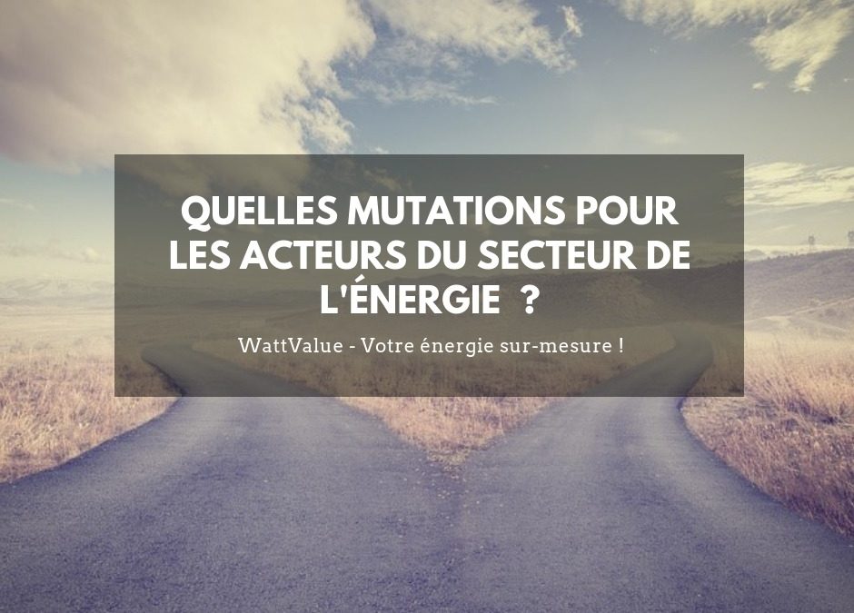 Quelles mutations pour les acteurs du secteur de l’énergie