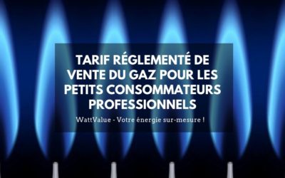 La fin du Tarif Réglementé de Vente de Gaz pour les petits consommateurs professionnels ?