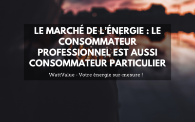 Le marché de l’énergie : le consommateur professionnel est aussi consommateur particulier