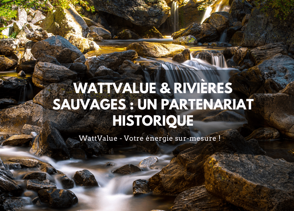 Rivières Sauvages & WattValue : un partenariat historique