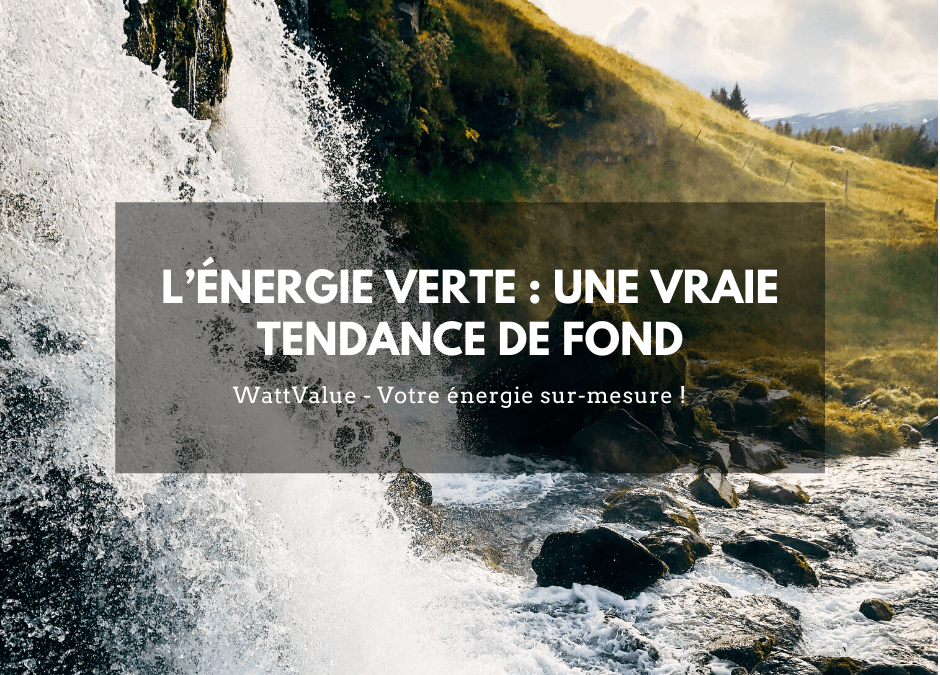 L’ÉNERGIE VERTE : UNE VRAIE TENDANCE DE FOND