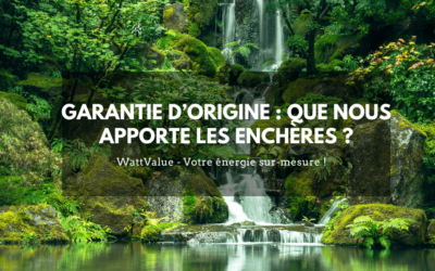 GARANTIE D’ORIGINE : QUE NOUS APPORTE LES ENCHÈRES ?