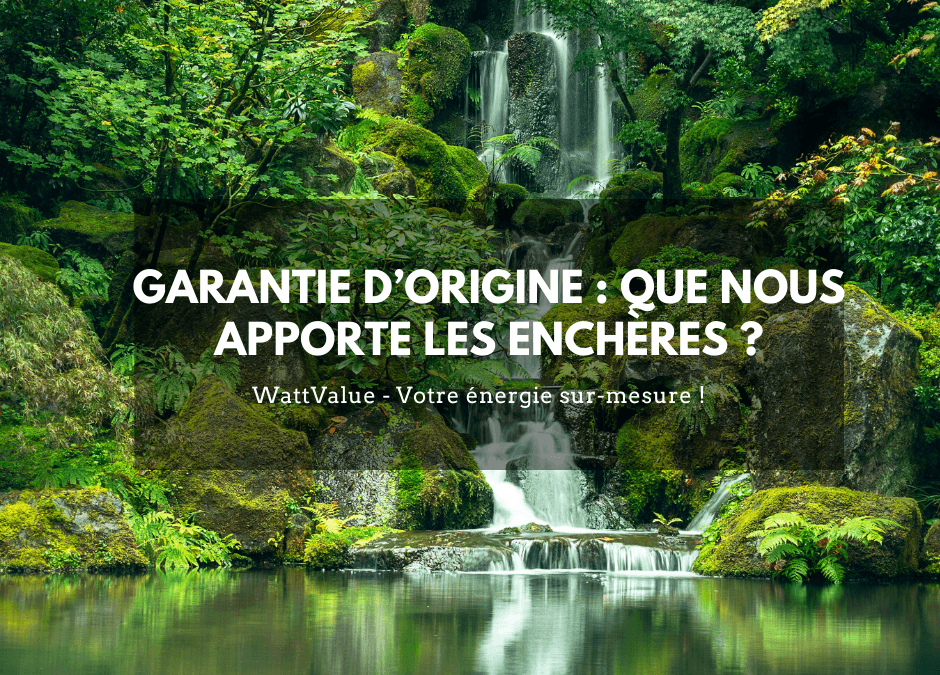 GARANTIE D’ORIGINE : QUE NOUS APPORTE LES ENCHÈRES ?