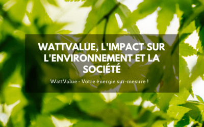 WATTVALUE, L’IMPACT SUR L’ENVIRONNEMENT ET SUR LA SOCIÉTÉ