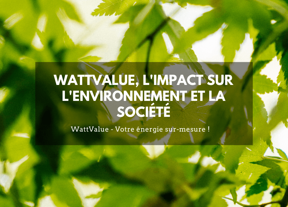 WATTVALUE, L’IMPACT SUR L’ENVIRONNEMENT ET SUR LA SOCIÉTÉ