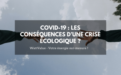 COVID-19 : LES CONSÉQUENCES D’UNE CRISE ÉCOLOGIQUE ?