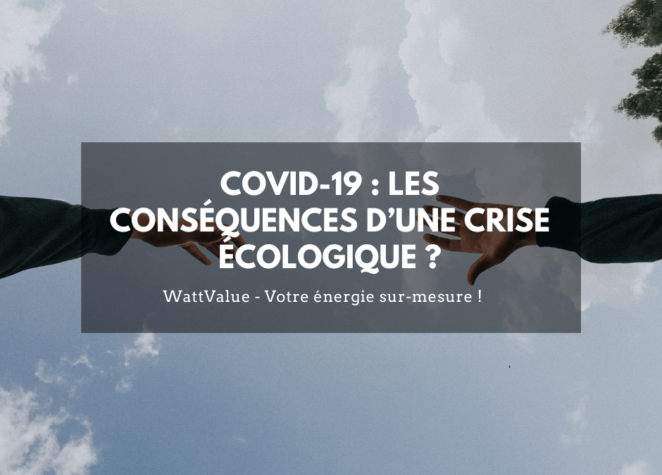 COVID-19 : LES CONSÉQUENCES D’UNE CRISE ÉCOLOGIQUE ?