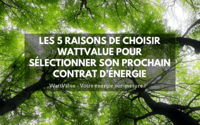 LES 5 RAISONS DE CHOISIR WATTVALUE POUR SÉLECTIONNER SON PROCHAIN CONTRAT D’ÉNERGIE