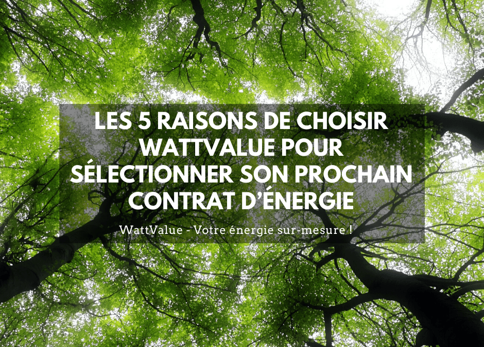 LES 5 RAISONS DE CHOISIR WATTVALUE POUR SÉLECTIONNER SON PROCHAIN CONTRAT D’ÉNERGIE