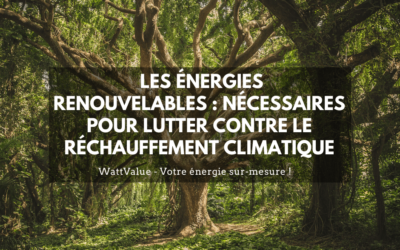 Les énergies renouvelables : plus que jamais nécessaires pour lutter contre le réchauffement climatique