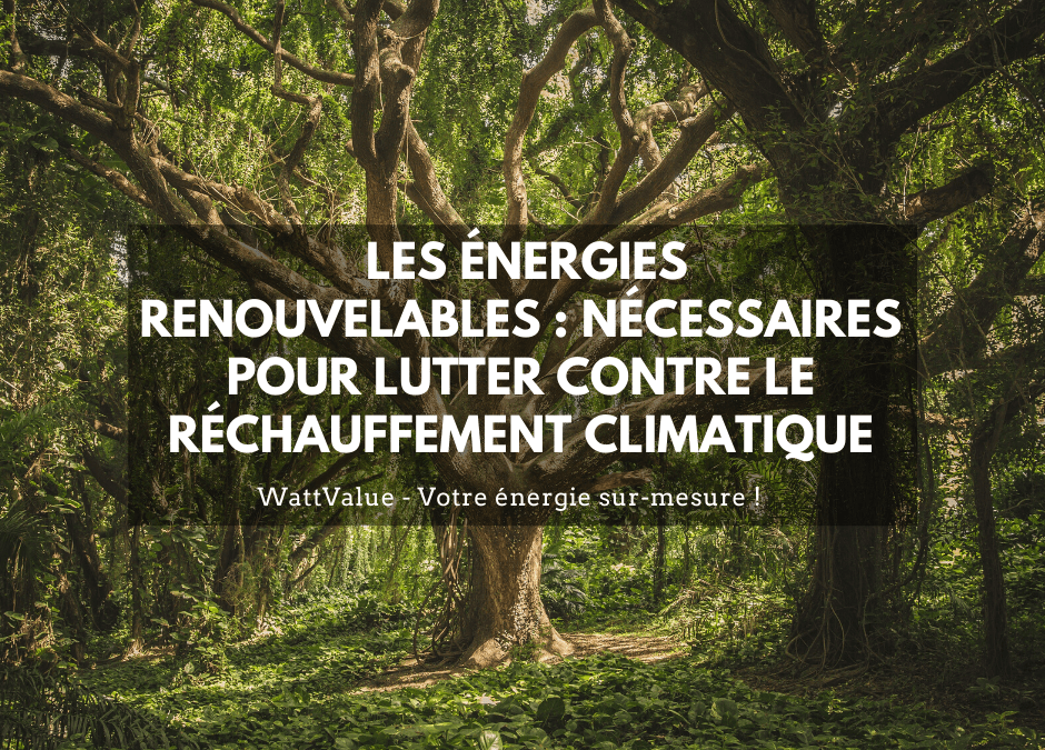 Les énergies renouvelables : plus que jamais nécessaires pour lutter contre le réchauffement climatique