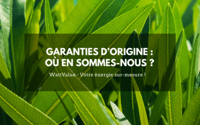 GARANTIES D’ORIGINE : OÙ EN SOMMES-NOUS ?