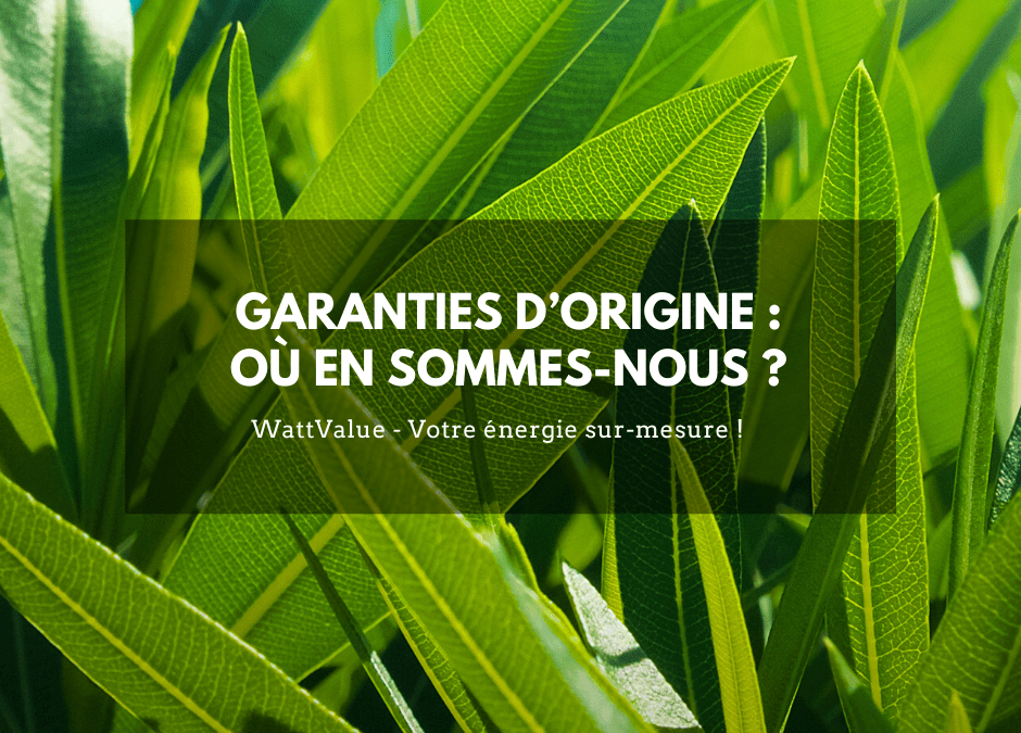 GARANTIES D’ORIGINE : OÙ EN SOMMES-NOUS ?