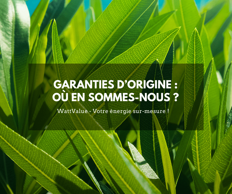 Garanties d'Origine