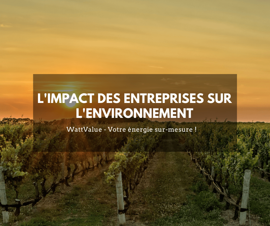 L'impact des entreprises sur l'environnement