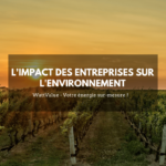 L'impact des entreprises sur l'environnement