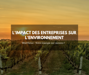 L'impact des entreprises sur l'environnement