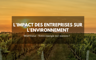 L’IMPACT DES ENTREPRISES SUR L’ENVIRONNEMENT