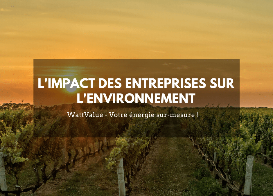 L’IMPACT DES ENTREPRISES SUR L’ENVIRONNEMENT