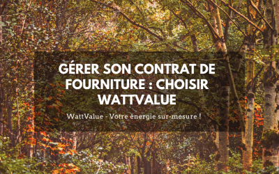 Gérer son contrat de fourniture : choisir WattValue