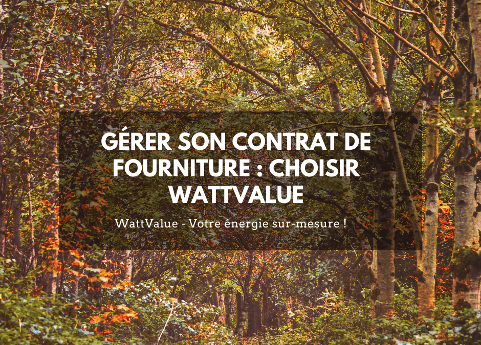 Gérer son contrat de fourniture : choisir WattValue