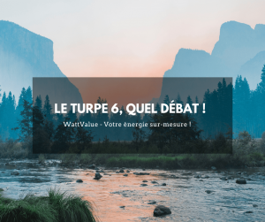 img - turpe, quel débat