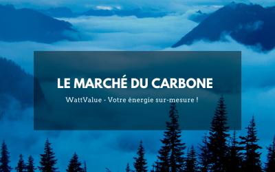 Le marché du carbone