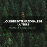 image - forêt journée internationale de la terre