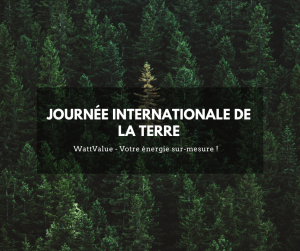 image - forêt journée internationale de la terre