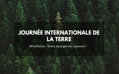 Journée internationale de la Terre
