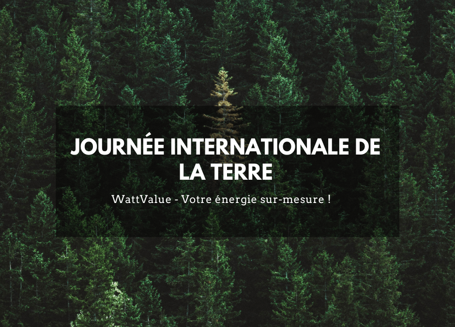 Journée internationale de la Terre