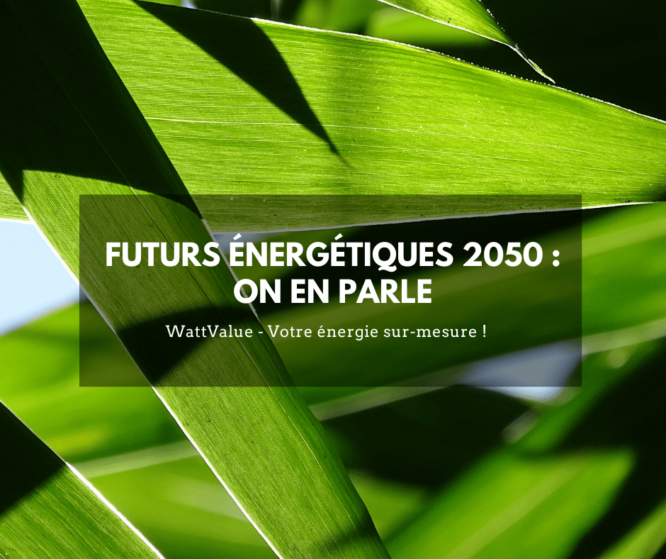 image - futurs énergétique 2050