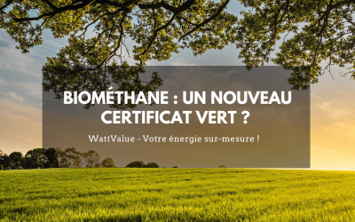 Biométhane : un nouveau certificat vert ?
