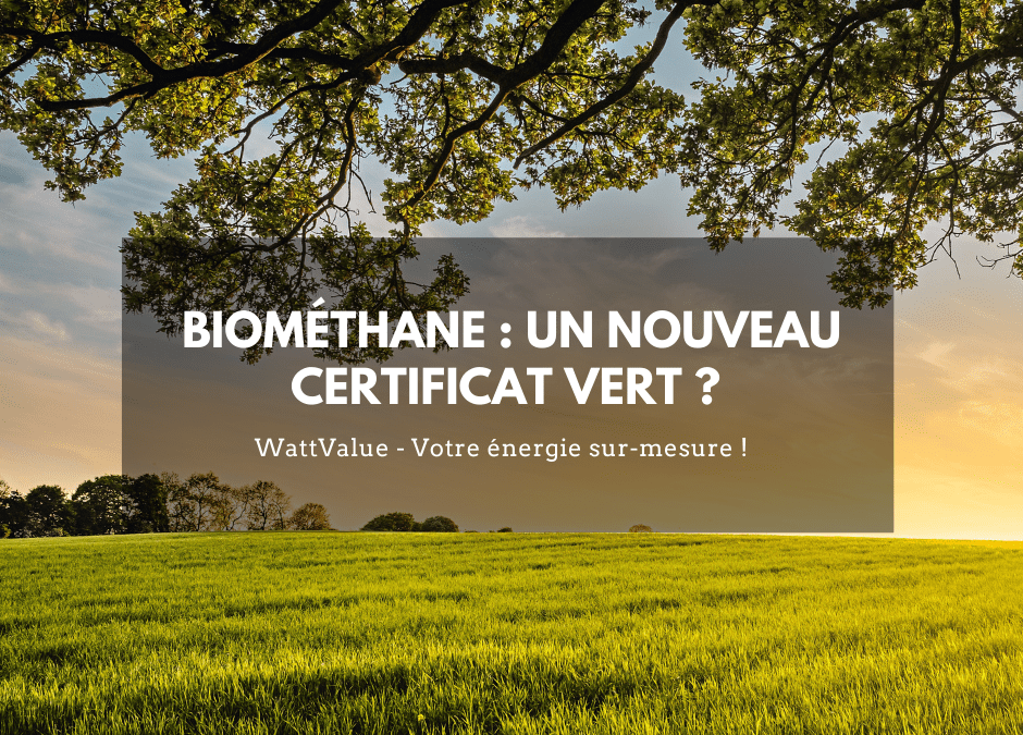 Biométhane : un nouveau certificat vert ?