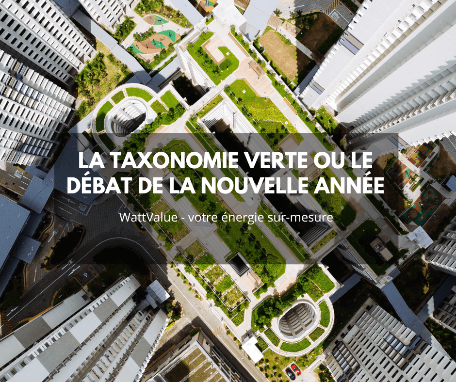 La Taxonomie Verte Fait Débat En 2022 Wattvalue