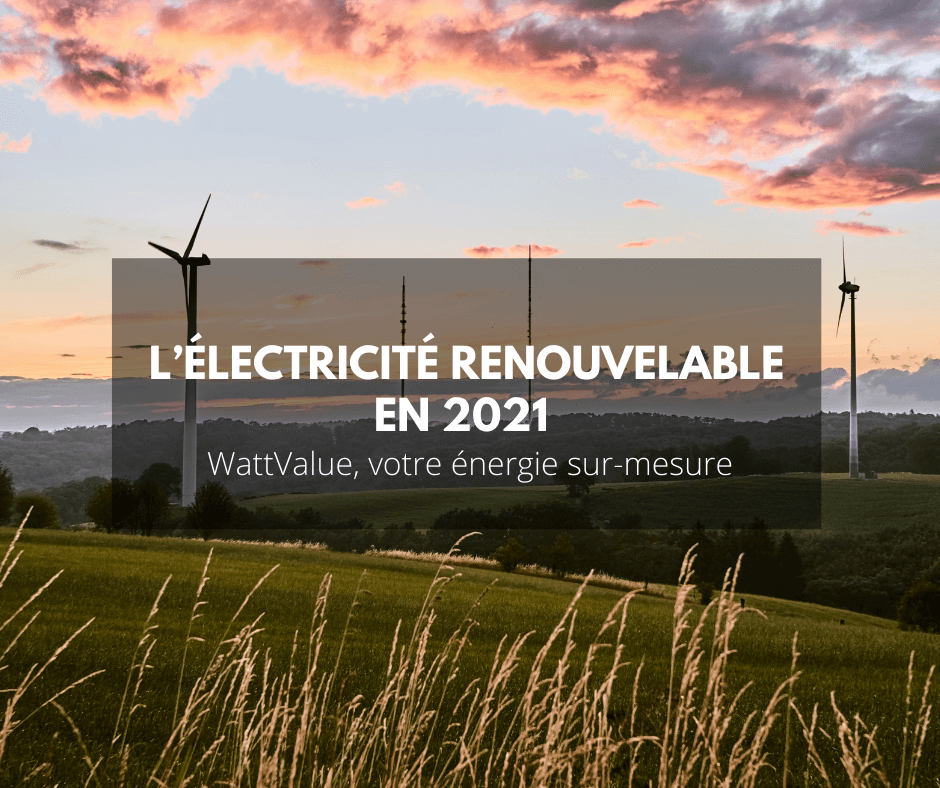 image électricité renouvelable 2021