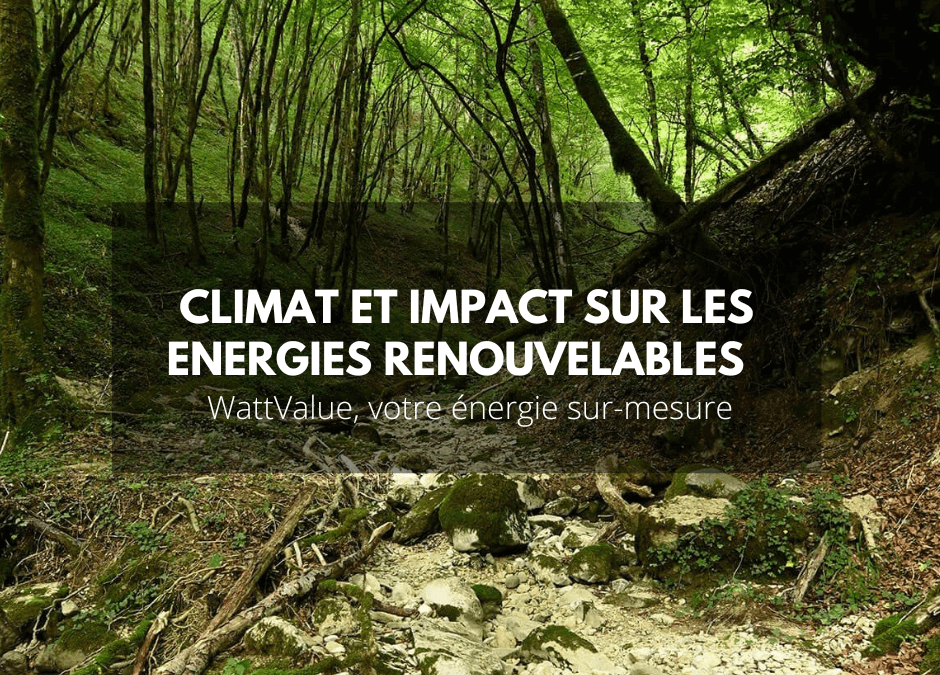 L’impact climatique sur le marché des énergies renouvelables