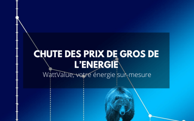 Chute inattendue des prix de gros de l’énergie