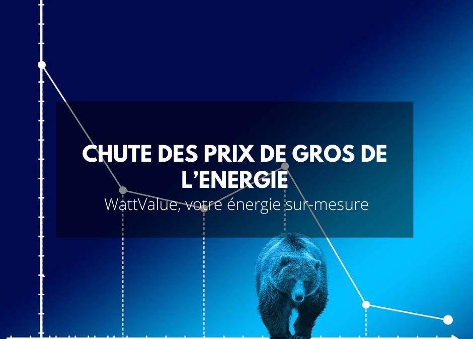 Chute inattendue des prix de gros de l’énergie