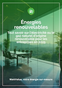 cover-guide-electricite-gaz-origine-renouvelable 213x300px guide tout savoir sur l'électricité et le gaz d'origine renouvelable